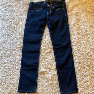 American Eagle Outfitters Blue Skinny Jeans